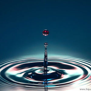 Meet your Posher, Raven